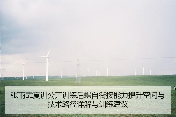 张雨霏夏训公开训练后蝶自衔接能力提升空间与技术路径详解与训练建议
