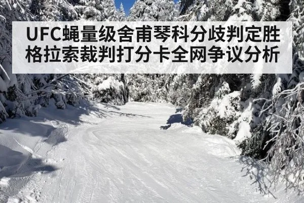 UFC蝇量级舍甫琴科分歧判定胜格拉索裁判打分卡全网争议分析