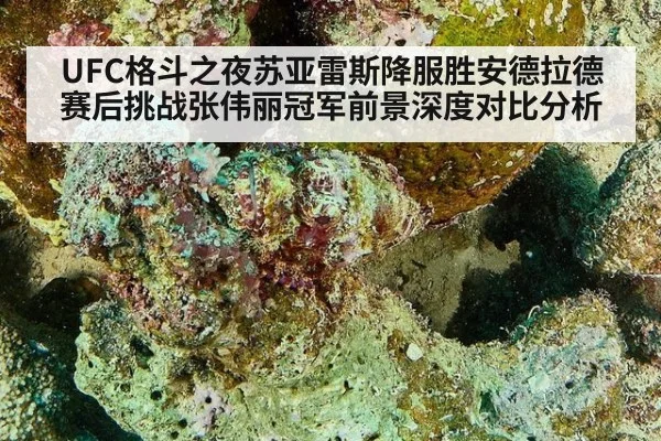 UFC格斗之夜苏亚雷斯降服胜安德拉德赛后挑战张伟丽冠军前景深度对比分析