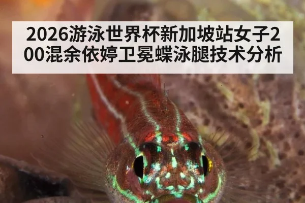 2026游泳世界杯新加坡站女子200混余依婷卫冕蝶泳腿技术分析