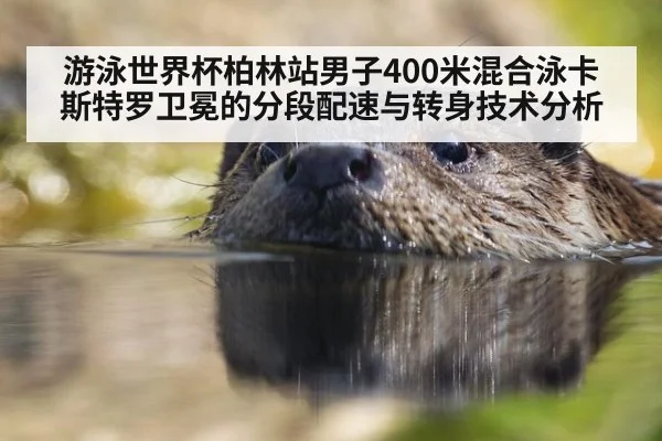 游泳世界杯柏林站男子400米混合泳卡斯特罗卫冕的分段配速与转身技术分析