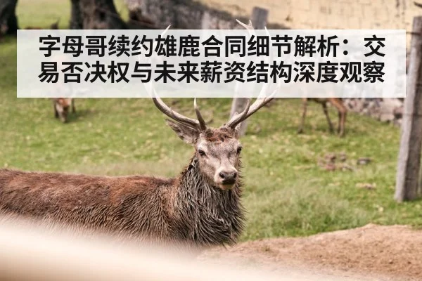 字母哥续约雄鹿合同细节解析:交易否决权与未来薪资结构深度观察
